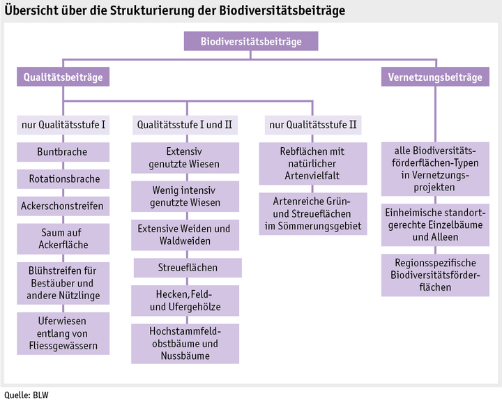 Zoom: ab17_politik_direktzahlungen_grafik_biodiversitaetsbeitraege_d.png